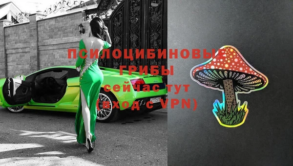МДМА Бородино