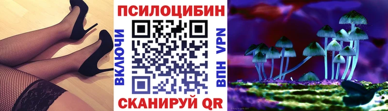 ОМГ ОМГ вход  что такое наркотик  Неман  Галлюциногенные грибы Psilocybe 